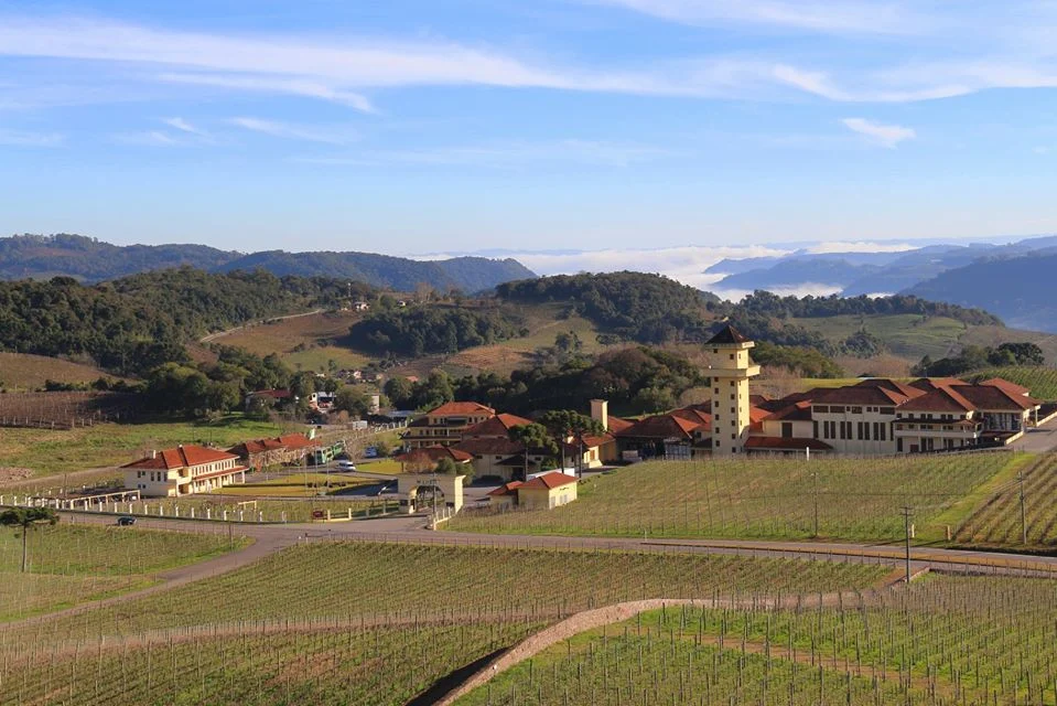 Vale dos Vinhedos